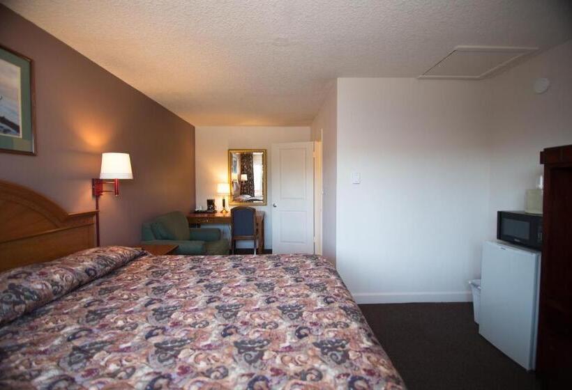 غرفة قياسية سرير كينج, Viking Motel