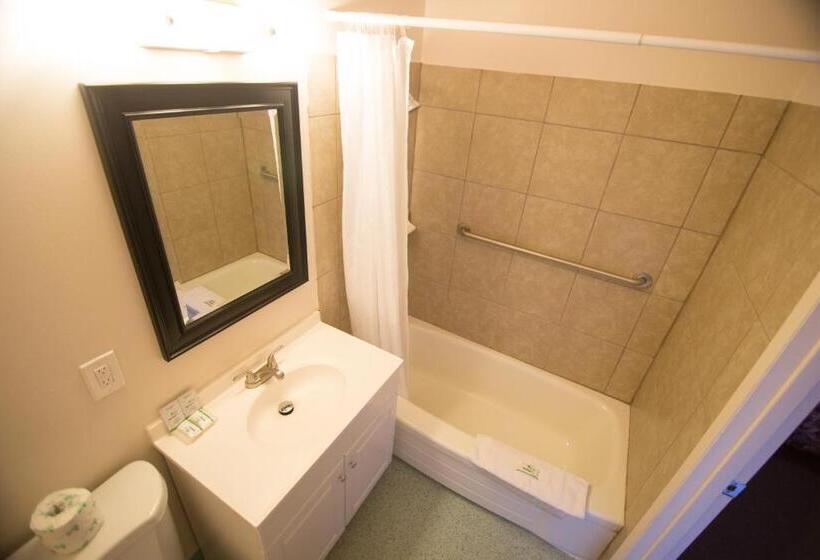 غرفة قياسية, Viking Motel