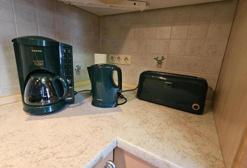 バルコニー付き１ベッドルームアパートメント, Pension Weiße Rose, Parkplatz, Frühstück, Wlan, Zentral