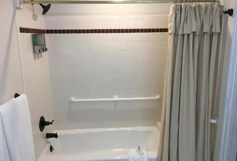 デラックスルーム, Lake Pointe Inn
