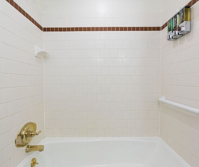 豪华单人间, Lake Pointe Inn