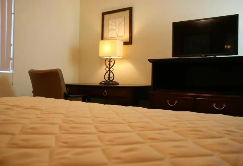 キングサイズベッドのスイートルーム, Affordable Suites Mooresville