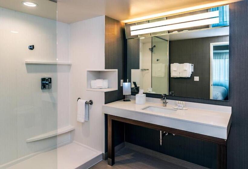 غرفة قياسية سرير كينج, Courtyard By Marriott Somerset