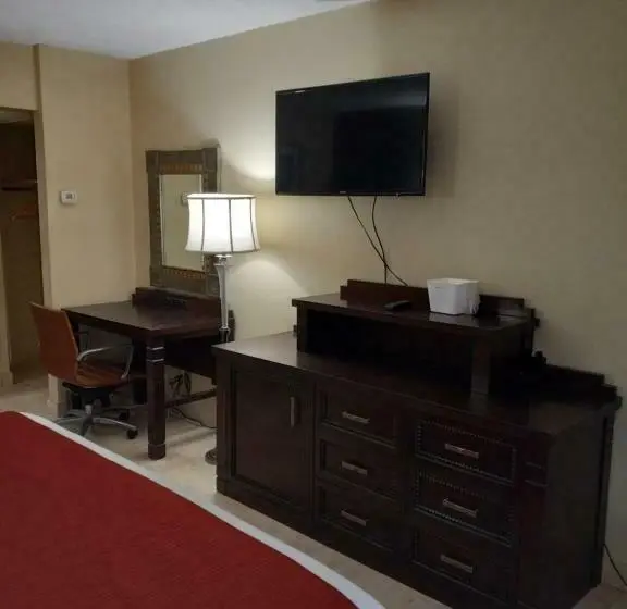 キングサイズベッドのスタンダードルーム, Rodeway Inn