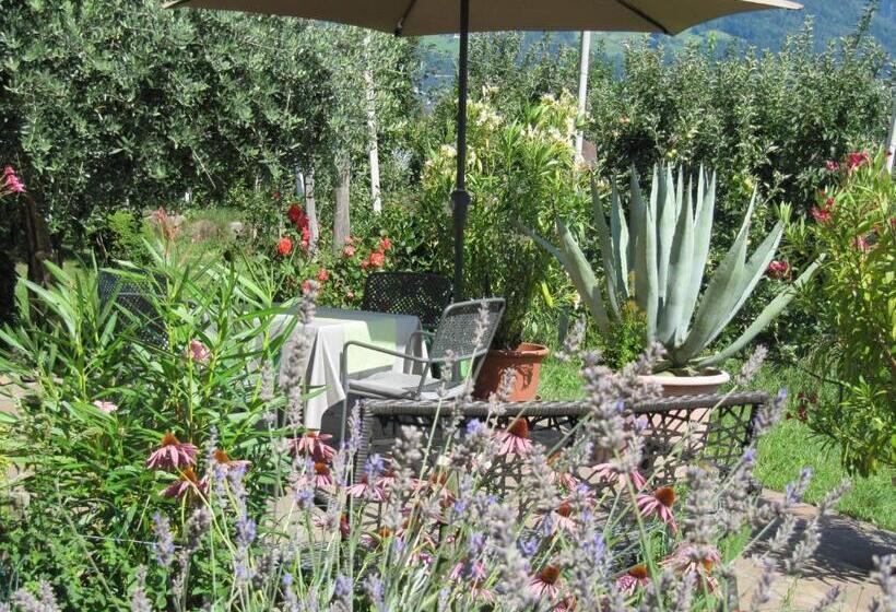 Апартаменты 1 Спальня с Террасой, & Residence Rebhof