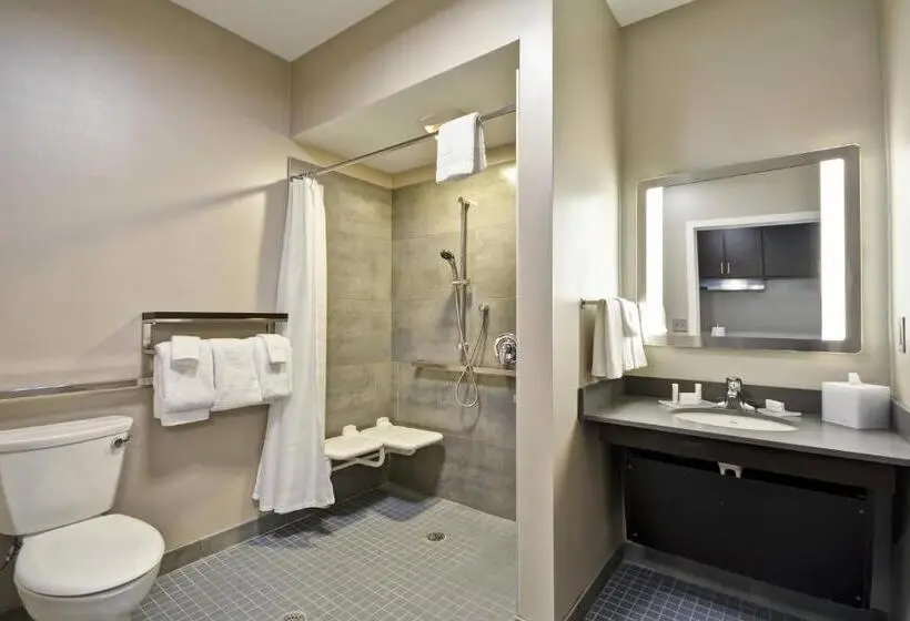 Standard-studio King-vuode, Towneplace Suites By Marriott Cranbury South Brunswick