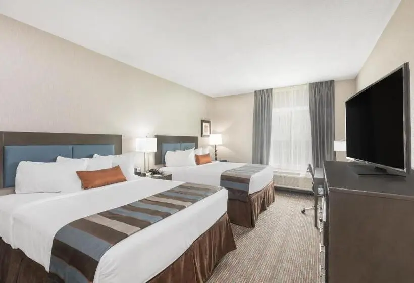 Standard-huone, Wingate By Wyndham Lubbock