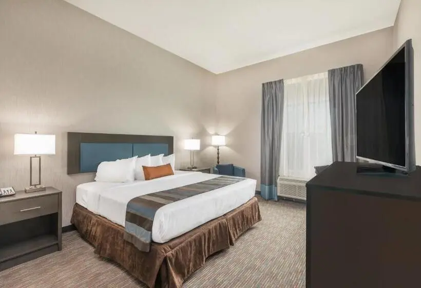 Standard-huone King-vuode, Wingate By Wyndham Lubbock