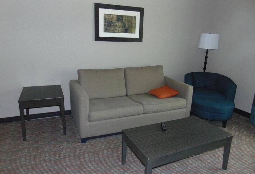 Люкс Кровать Кинг, Wingate By Wyndham Lubbock