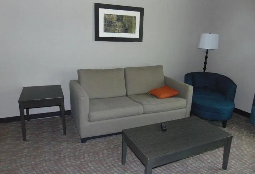 Sviitti King-vuode, Wingate By Wyndham Lubbock