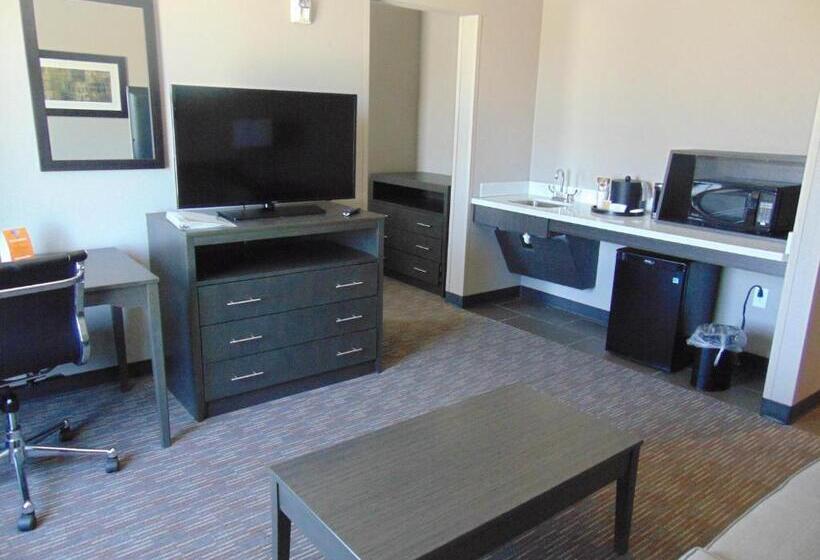 Люкс Адаптированный для Инвалидов, Wingate By Wyndham Lubbock