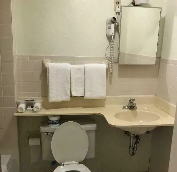 Standard-huone, Budget Inn Of Brownfield