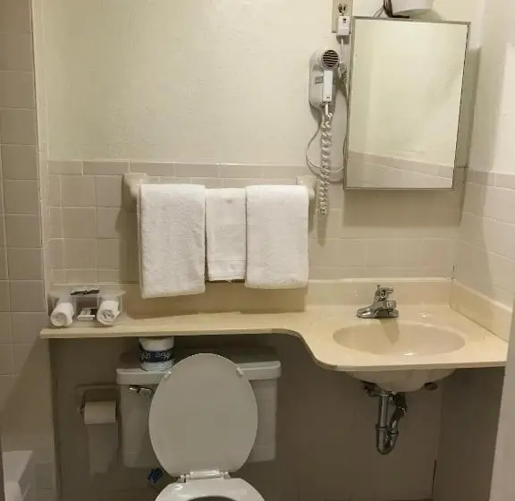 Standard-huone King-vuode, Budget Inn Of Brownfield