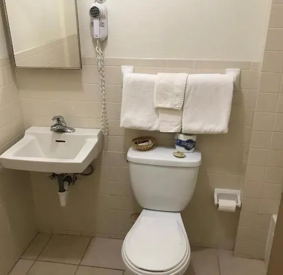 Standard-huone 2 Parivuodetta, Budget Inn Of Brownfield