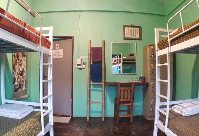 Четырехместный номер эконом класса с общей ванной комнатой, Muster House