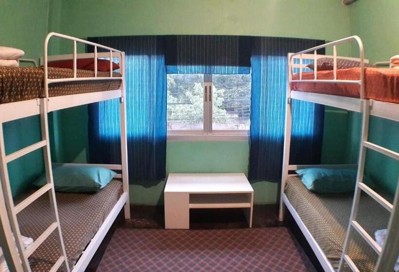 Четырехместный номер эконом класса с общей ванной комнатой, Muster House