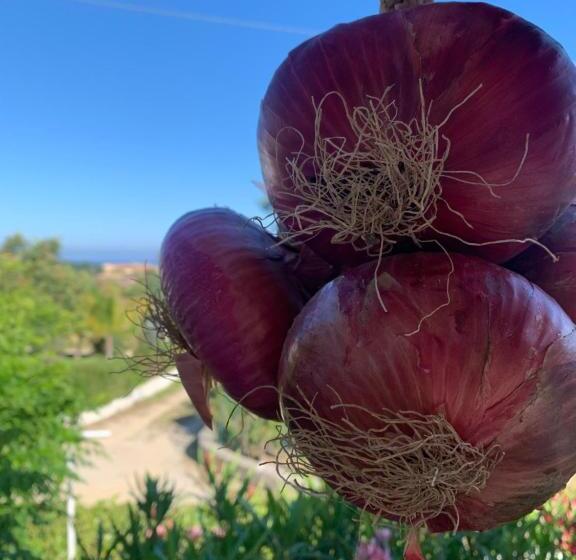 Трехместный Номер Стандарт Вид на Сад, B&b A Casa Di Picci