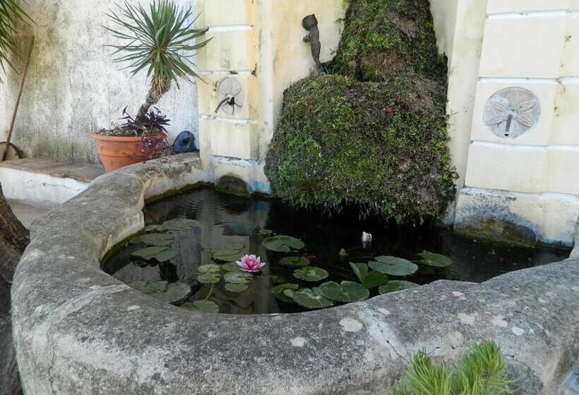 基本间, Il Nido Del Gabbiano