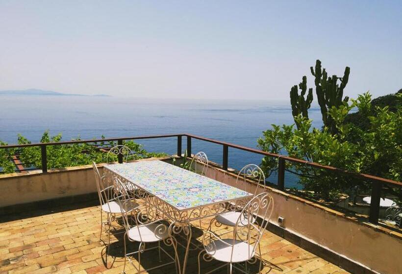Suite with Terrace, Il Nido Del Gabbiano