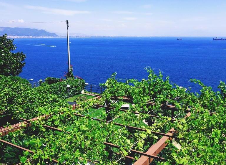 Люкс с Террасой, Il Nido Del Gabbiano