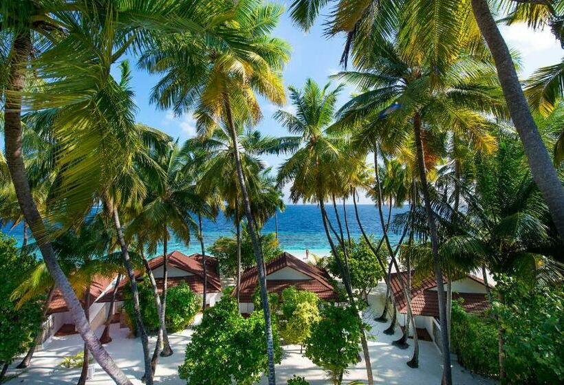 ویلای 1 خوابه, Diamonds Thudufushi Maldives Resort & Spa