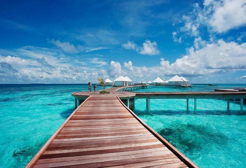 ویلای 1 خوابه, Diamonds Thudufushi Maldives Resort & Spa