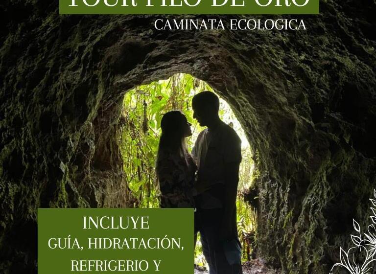 이코노미 룸, Europa Ecotours