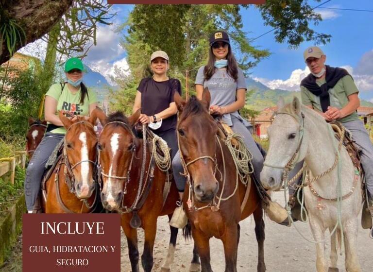 패밀리 룸, Europa Ecotours