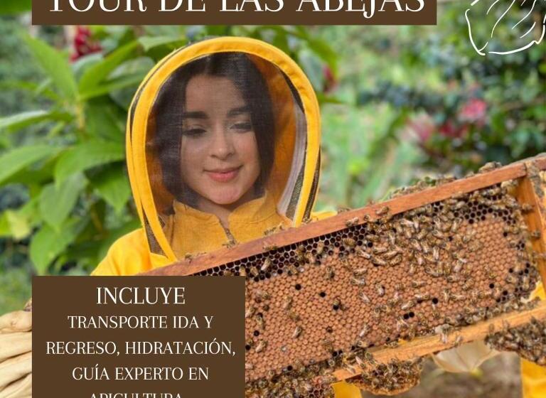 스탠다드 룸, Europa Ecotours