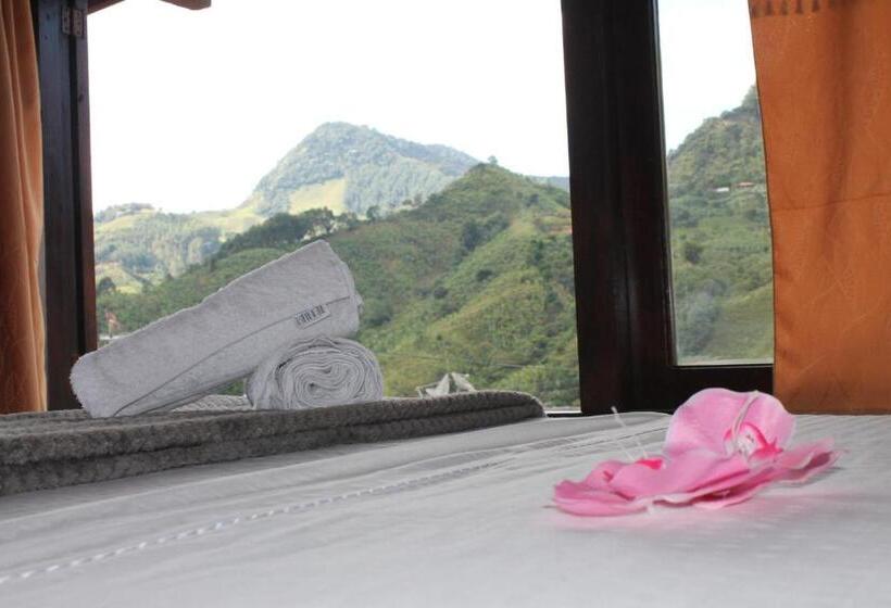 패밀리 룸, Europa Ecotours