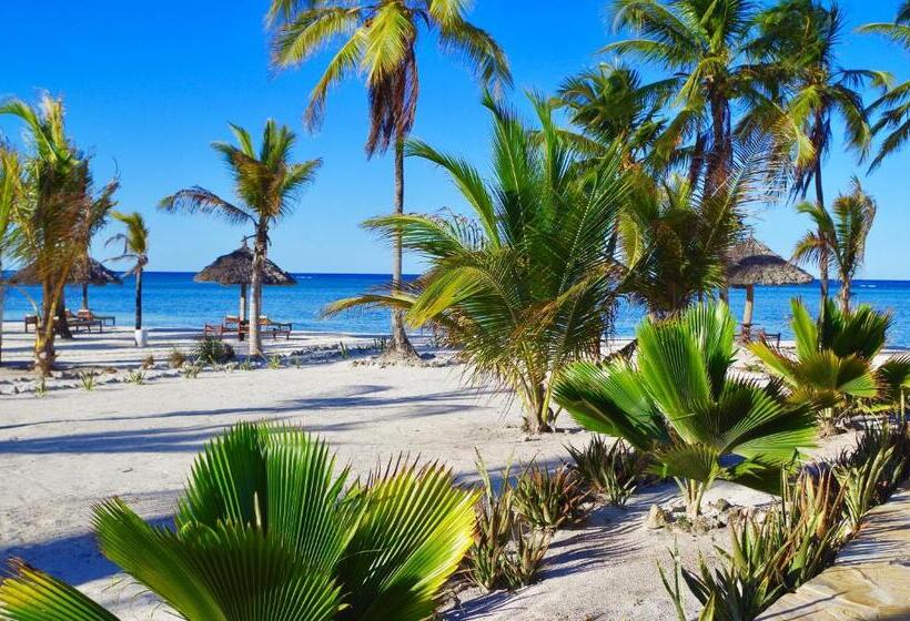 オーシャンビューの１ベッドルームビラ, The Sands Beach Resort