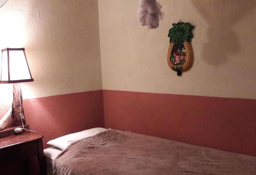 غرفة قياسية مطلّة علي الحديقة, Viavia Leon