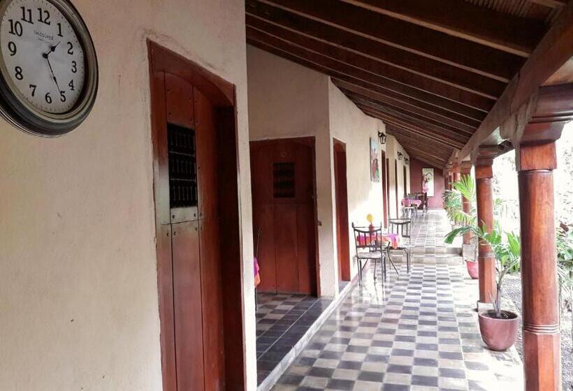 اتاق استاندارد با چشمانداز باغ, Viavia Leon