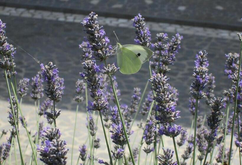 Номер Стандарт, Alloggio Turistico La Balocca