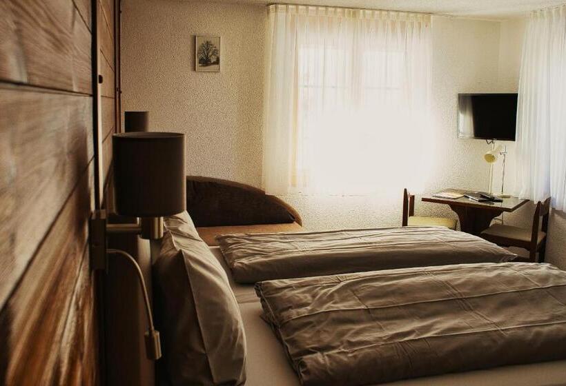 חדר סטנדרט, Hirschen Eggiwil