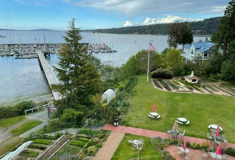 جناح إدارى, Old Alcohol Plant