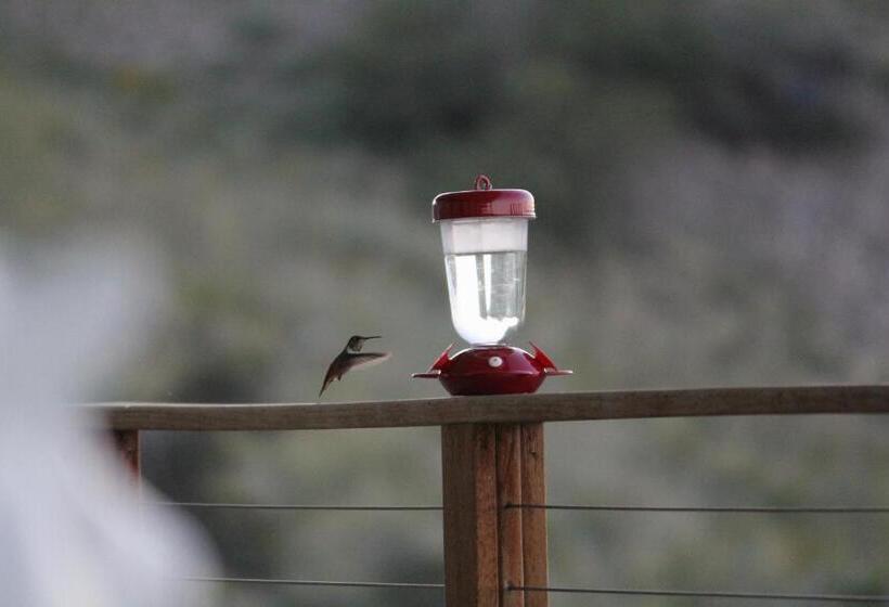 جناح ديلوكس, The Arizona Lighthouse B&b