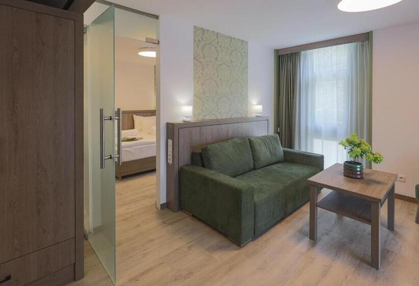 Апартаменты 1 Спальня, Turul Villa