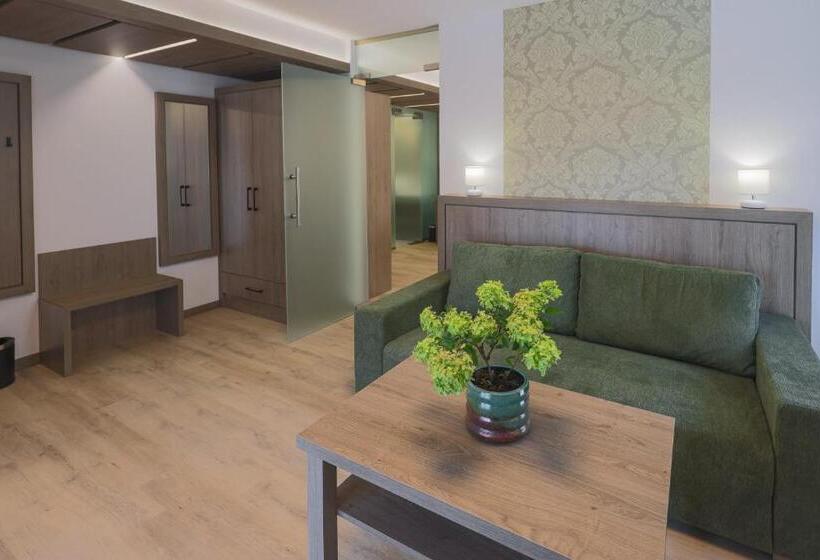 Апартаменты 1 Спальня, Turul Villa