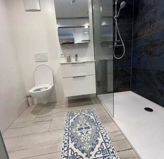 غرفة قياسية مزوَّدة بشُرفة, Schinagl Klaus