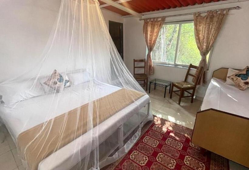 Villa Supérieure 1 Chambre, Wandr Tabletop