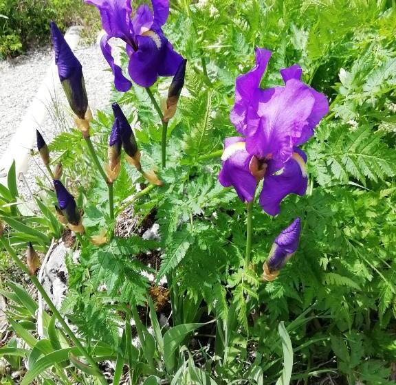 غرفة قياسية, Castelcharme B&b