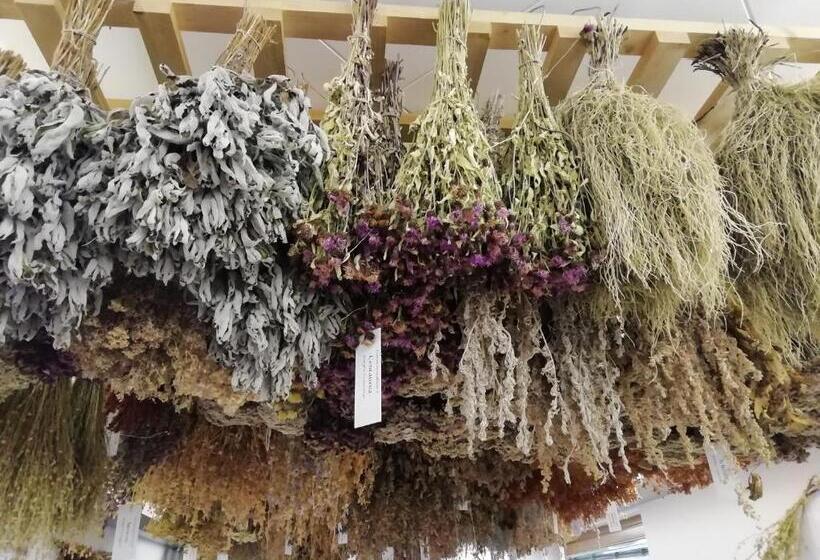 غرفة عائلية, Castelcharme B&b