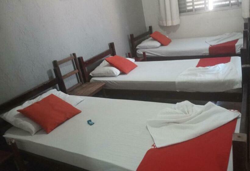 베이직 3인 룸, Central