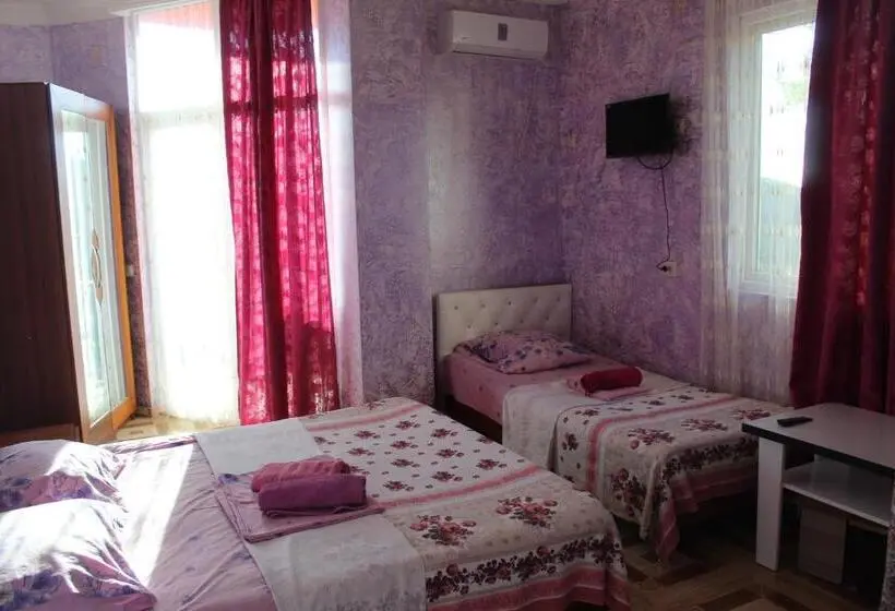 اتاق استاندارد سه نفره, Georgia