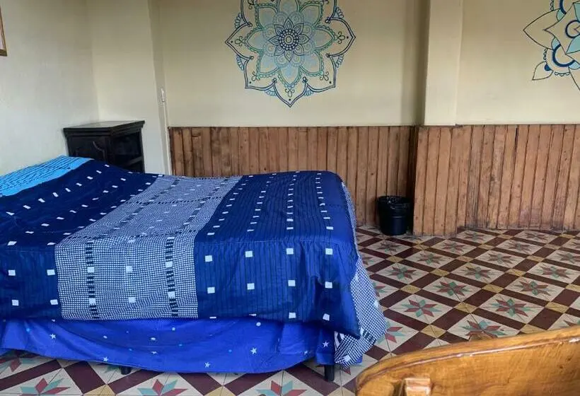 اتاق لوکس, Kasa Kiwi Hostel & Travel Agency