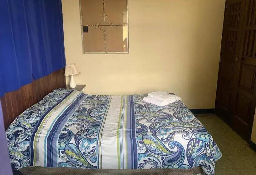اتاق استاندارد با سرویس بهداشتی مشترک, Kasa Kiwi Hostel & Travel Agency