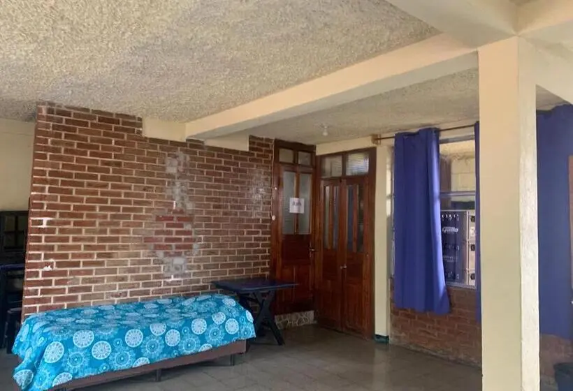تختخواب در اتاق مشترک, Kasa Kiwi Hostel & Travel Agency