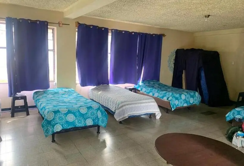 تختخواب در اتاق مشترک, Kasa Kiwi Hostel & Travel Agency