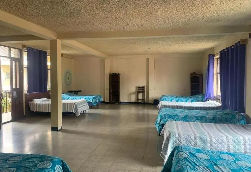 تختخواب در اتاق مشترک, Kasa Kiwi Hostel & Travel Agency